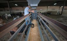 Plan de choque de cuatro millones contra la subida del precio de los alimentos para el ganado