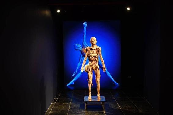 Abre en Las Palmas de Gran Canaria la polémica exposición 'Bodies'