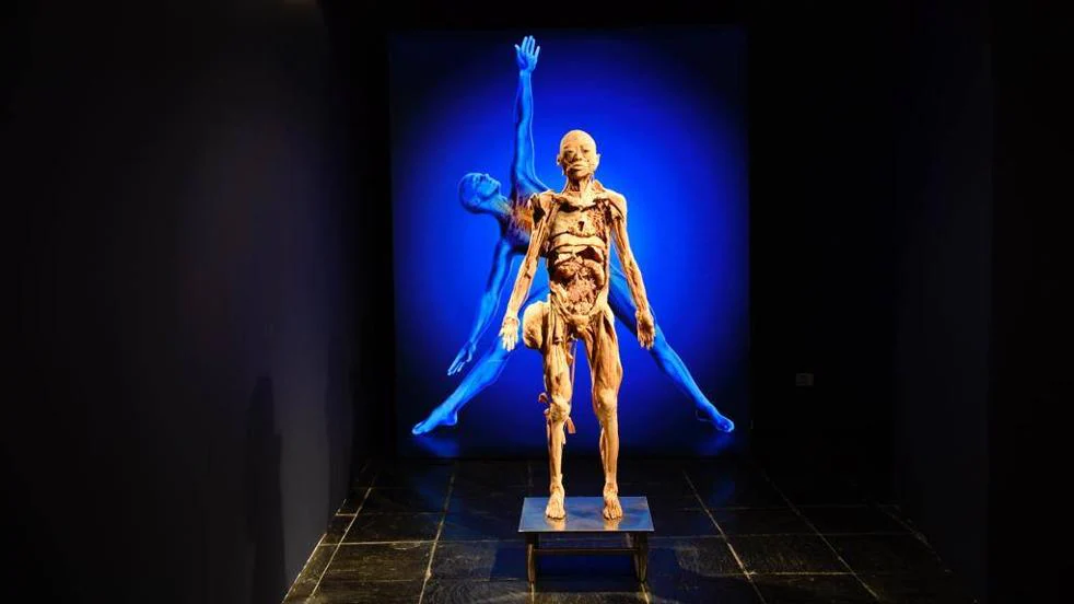 Inaugurada la exposición 'Bodies' en el Museo Elder