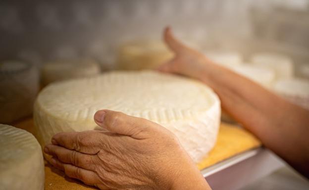 Tres quesos majoreros pasan a la final del Campeonato de los Mejores de España