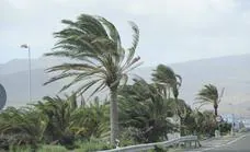El viento fuerte vuelve a cobrar protagonismo en Canarias este fin de semana