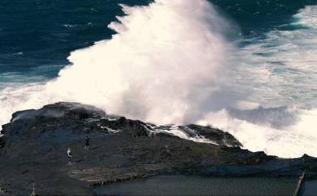 El cambio climático está produciendo amnesia en los océanos