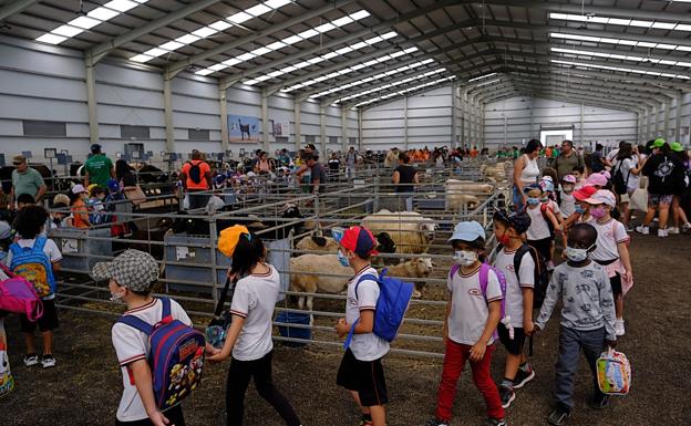 800 escolares vuelven a disfrutar con Feaga