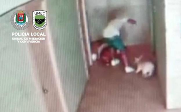 La Policía Local denuncia a un hombre por maltrato animal a tres perros en la capital grancanaria