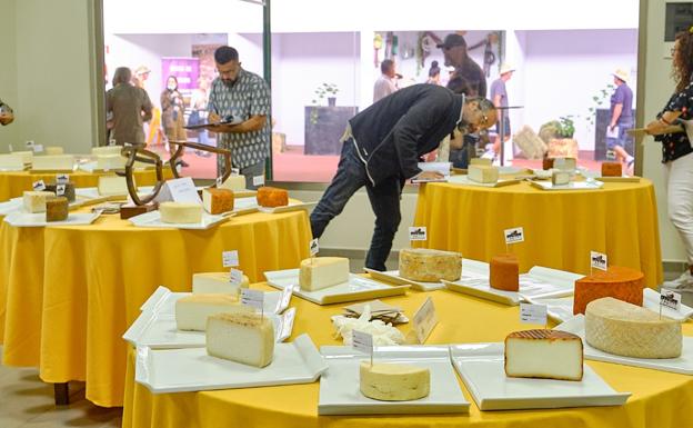 La Rosa de la Madera y Julián Díaz, los mejores quesos majoreros