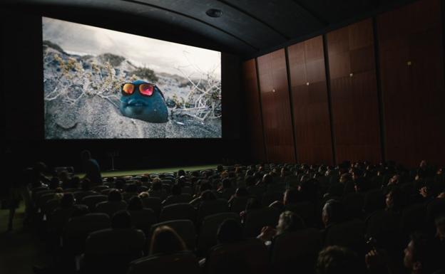 Actividades de formación en cine, en Arrecife