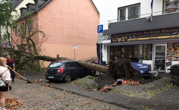 Un árbol caído en un automóvil después del paso del tornado./AFP