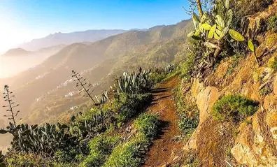 El Aguas de Teror Trail-Desafío de los Picos batirá su récord de participación el 30 de julio