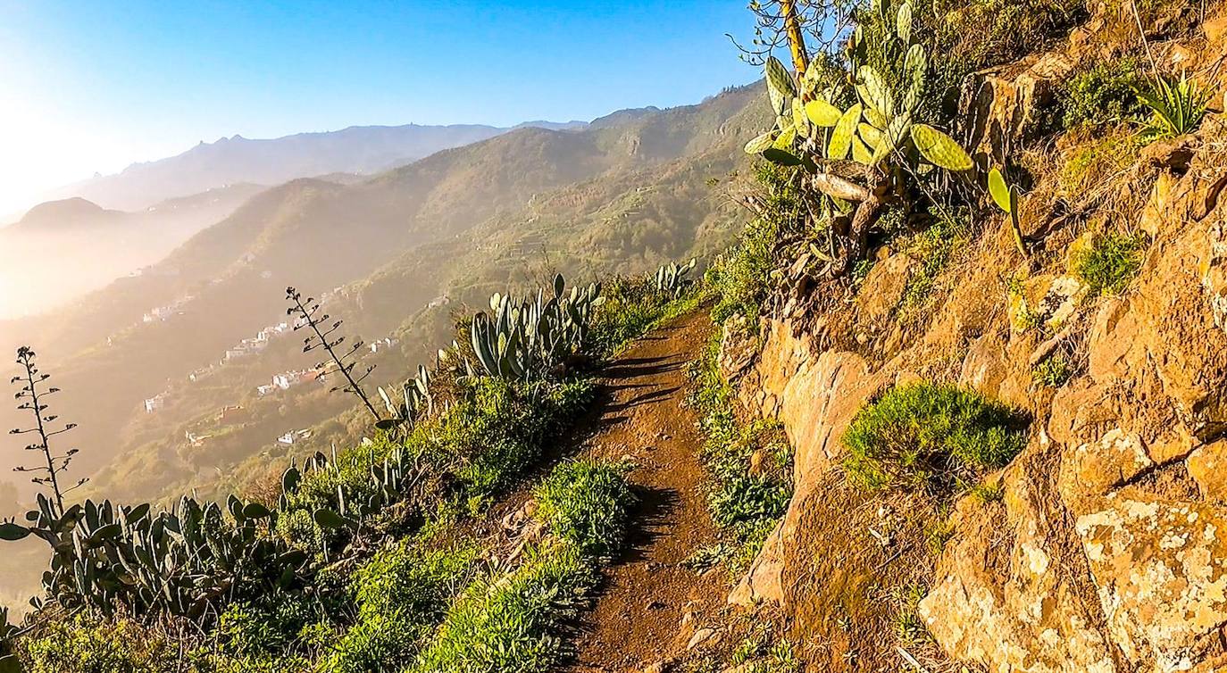 El Aguas de Teror Trail-Desafío de los Picos batirá su récord de participación el 30 de julio