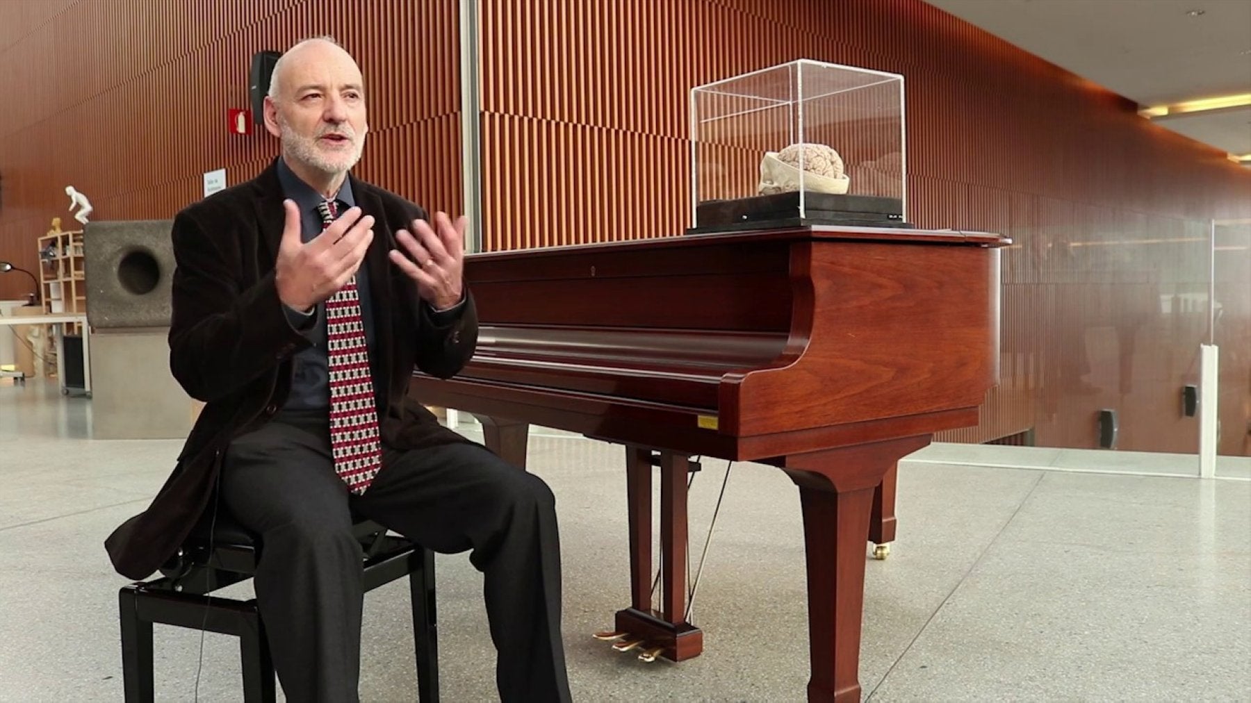 Jordi A. Jauset: «Lo que entendemos como música es el resultado de un proceso cerebral»