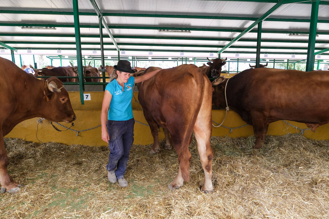 Feria de Ganado en Gran Canaria