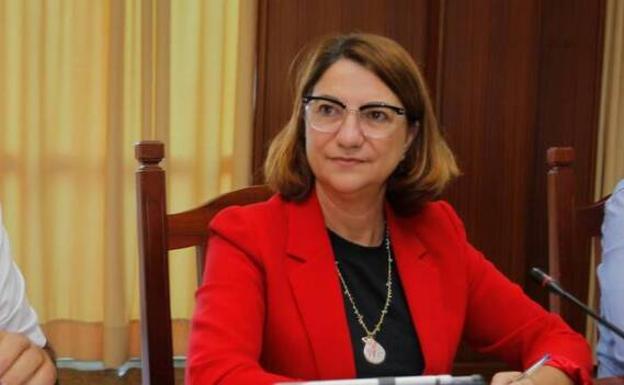 El Cabildo replantea el contrato del transporte de los dependientes