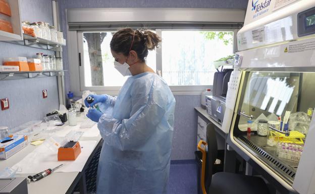 A researcher in the laboratory of arboviruses and important viral diseases of the National Center for Microbiology.