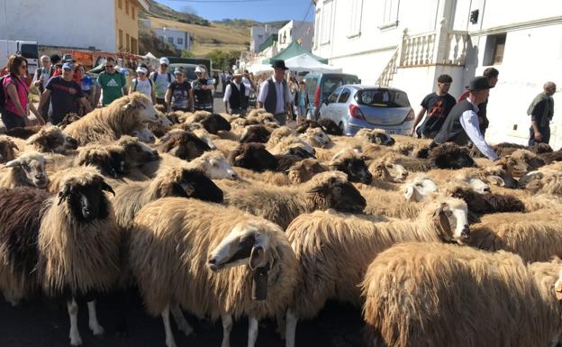 Caideros celebra las tradiciones del campo