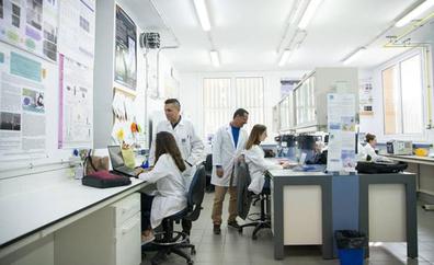 Canarias registra cinco nuevos casos de viruela del mono y comienza a secuenciar el virus