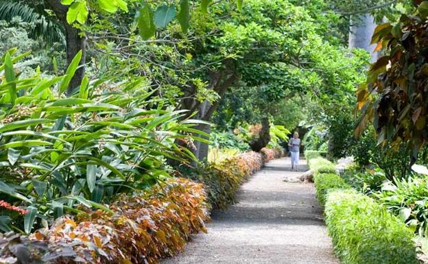 El Jardín Botánico de Puerto de la Cruz estrenará centro de visitantes el próximo verano