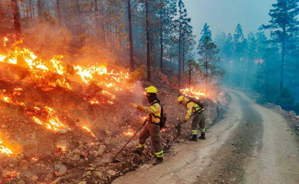 Gran Canaria, en situación de prealerta por riesgo de incendios