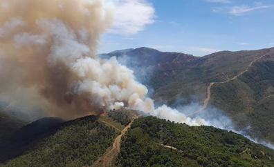 Andalucía solicita la intervención de la UME en el incendio de Sierra Bermeja