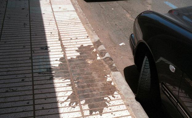 Limpieza que brilla por su ausencia