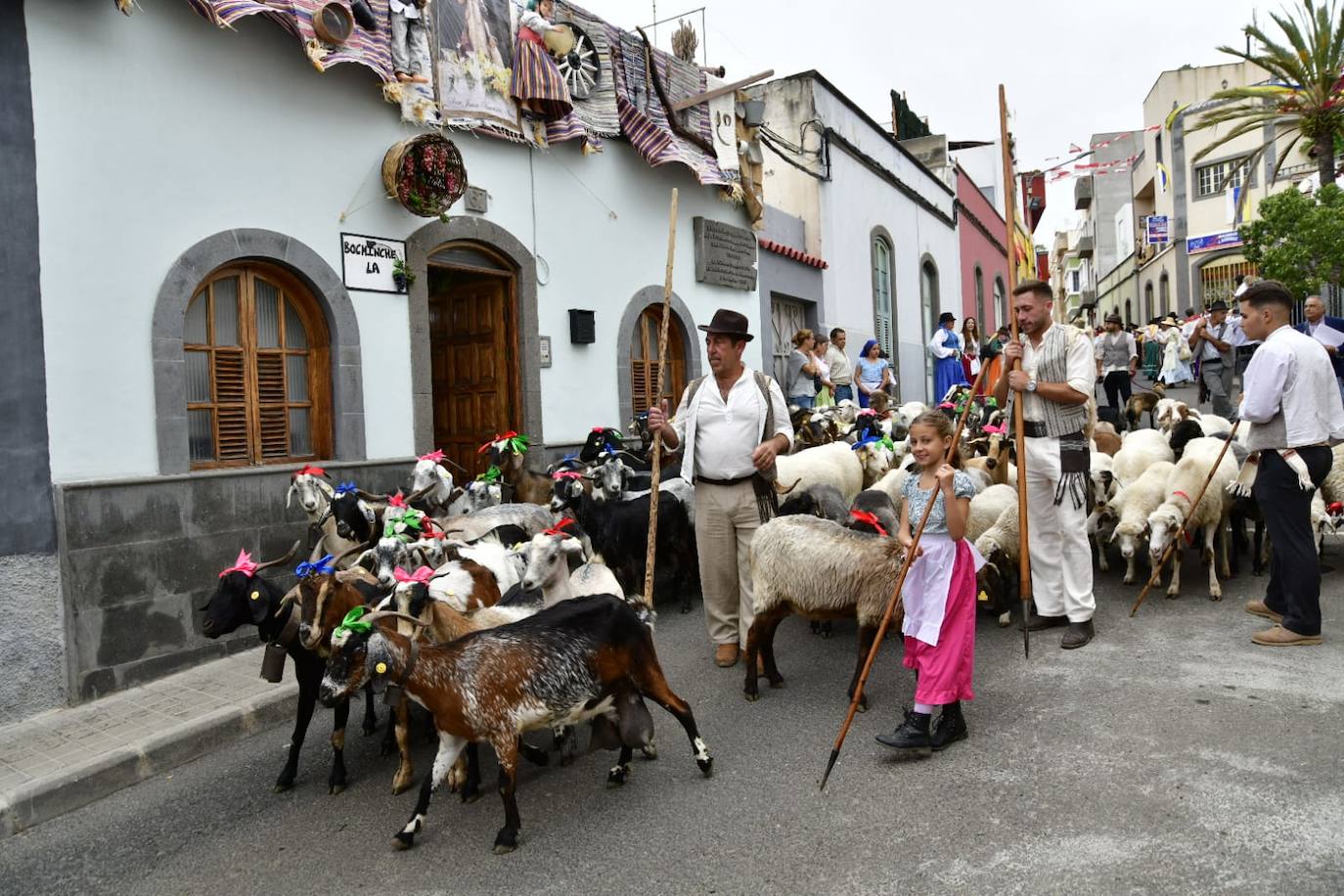 Las imágenes de la romería de San Juan en Arucas