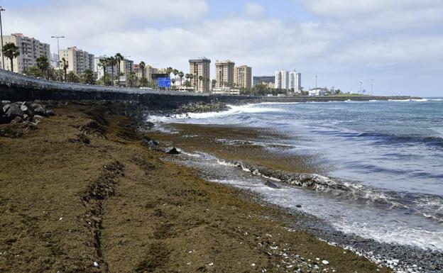 Cielos nubosos en el norte de las islas y despejados en el resto este domingo