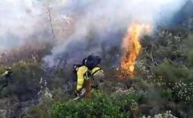 Más de 200 efectivos terrestres trabajan para controlar el incendio de Málaga