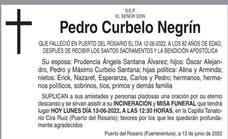 Pedro Curbelo Negrín