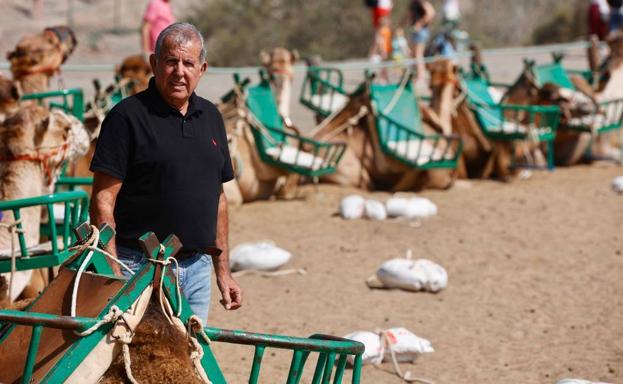 ¿Es partidario de mantener las rutas en camello en el entorno de las Dunas de Maspalomas?