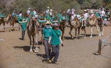 AV-PP lleva al pleno de San Bartolomé la defensa de los camellos en las dunas