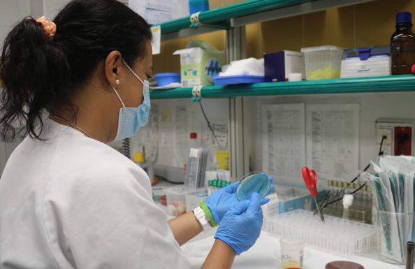 Sanidad contabiliza dos casos nuevos en estudio de viruela del mono en Canarias