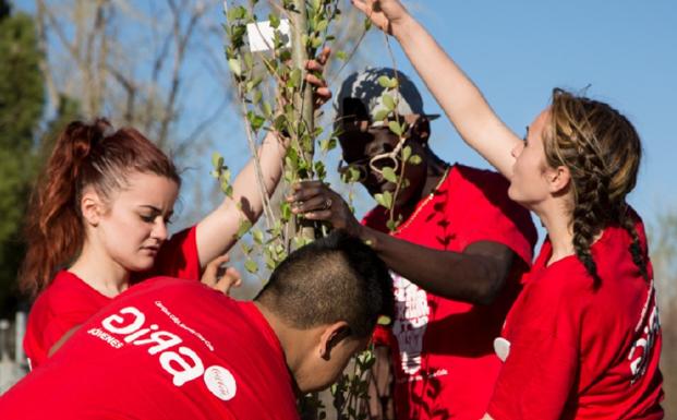 El proyecto 'Agricolaridad', del IES Felo Monzón de Las Palmas de Gran Canaria, finalista de 'Gira Jóvenes'