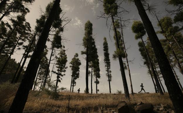 Estela Guerra y Santi Castellano dominan en la distancia reina