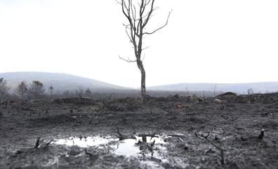 Continúa estabilizado el incendio de Zamora tras arrasar 30.000 hectáreas