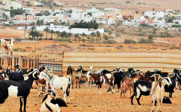 335.000 euros para el sector primario de Antigua