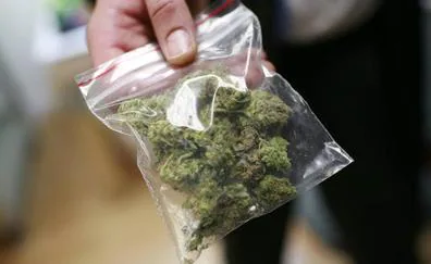 Las farmacias dispensarán cannabis para uso terapéutico dentro de seis meses