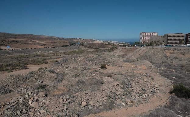 El Cabildo estudiará las opciones para impulsar el Siam Park tras la sentencia del Supremo