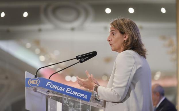 La ministra para la Transición Ecológica, Teresa Ribera. /EFE