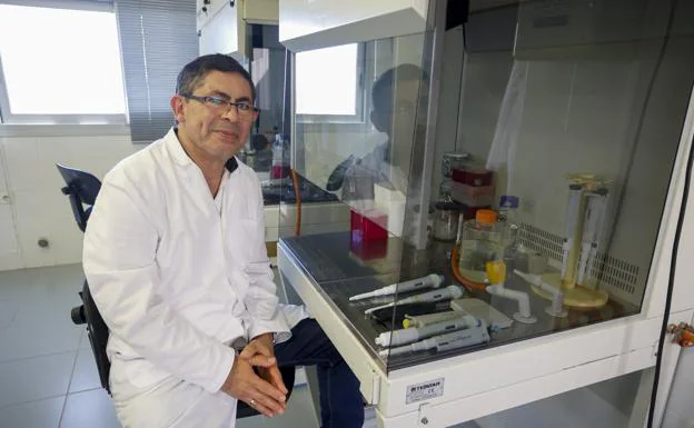 Sanidad detecta cuatro casos de la nueva subvariante ortro en Gran Canaria