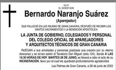 Bernardo Naranjo Suárez