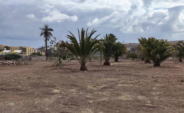 La capital convertirá los lotes deteriorados en 