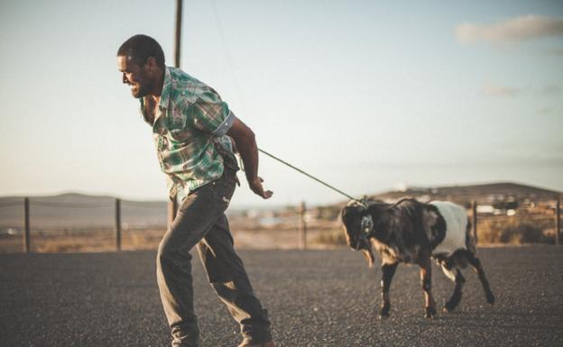 El Gobierno de Canarias destina 1,8 millones de euros para producciones de cine y televisión