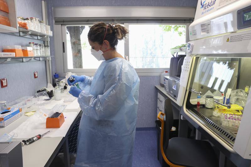 Sanidad notifica siete nuevos casos de viruela del mono y nueve en estudio