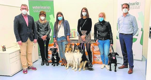 El concurso 'De vacaciones con mi perro' convoca su octava edición