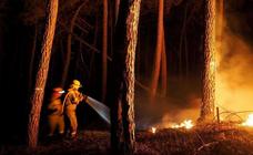 Alerta máxima por riesgo de incendios forestales en Canarias