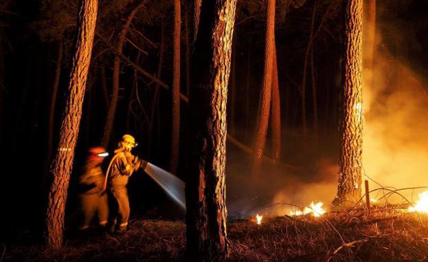 Alerta máxima por riesgo de incendios forestales en Canarias