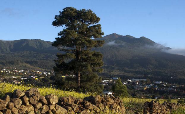 Convocan ayudas por más de 5,5 millones para actuaciones en Reservas de la Biosfera