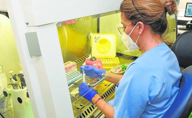 Canarias alcanza los 71 casos de viruela del mono: las fiestas y el verano harán que repunte