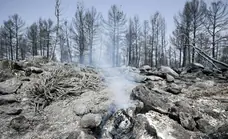El calentamiento global duplica en 40 años el riesgo de incendios en el Mediterráneo