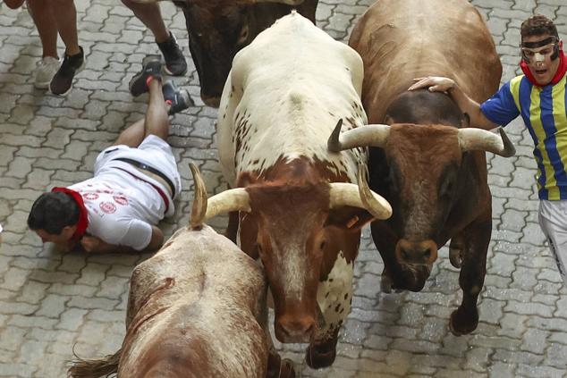 Los mozos, durante el octavo y último encierro de los Sanfermines con toros de la ganadería de Miura en el tramo final de entrada a la Plaza de Toros de Pamplona.