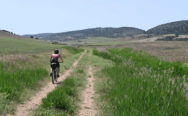 Dos semanas, 60 kilómetros al día. ¿Te animas a hacer el Camino del Cid en bicicleta? Julia y Gonzalo lo han hecho
